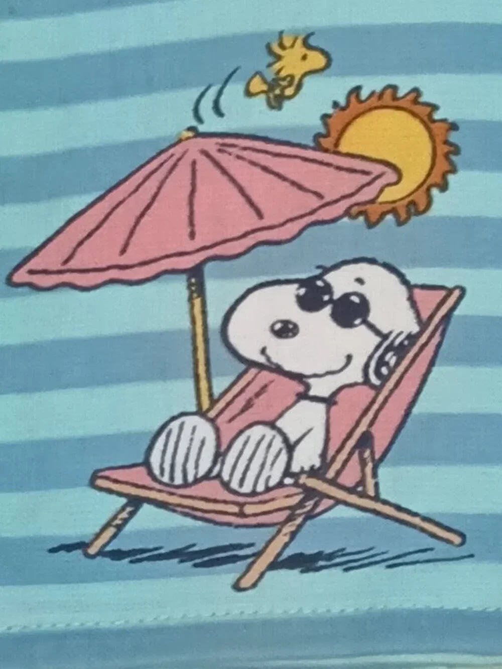 NWT ~ Celebrate Together Peanuts' Snoopy 2 Pack Summer Themed Kitchen Towels
